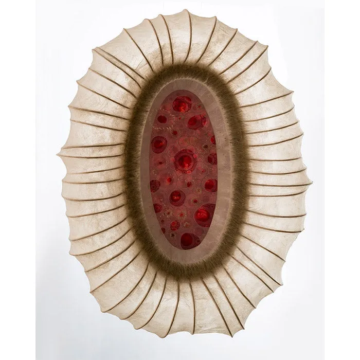 Alexandra Hendrikoff - Metamorphosis