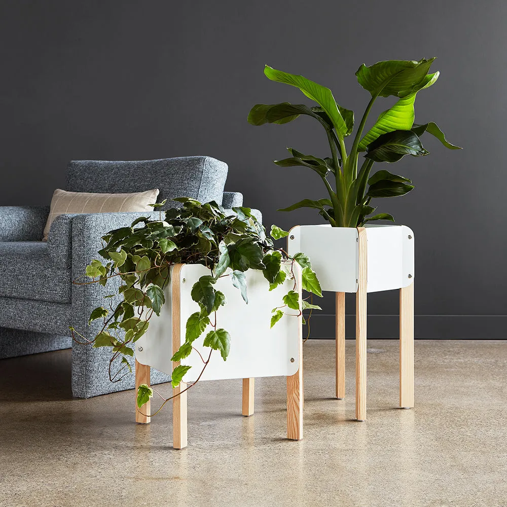 Atrium Planter
