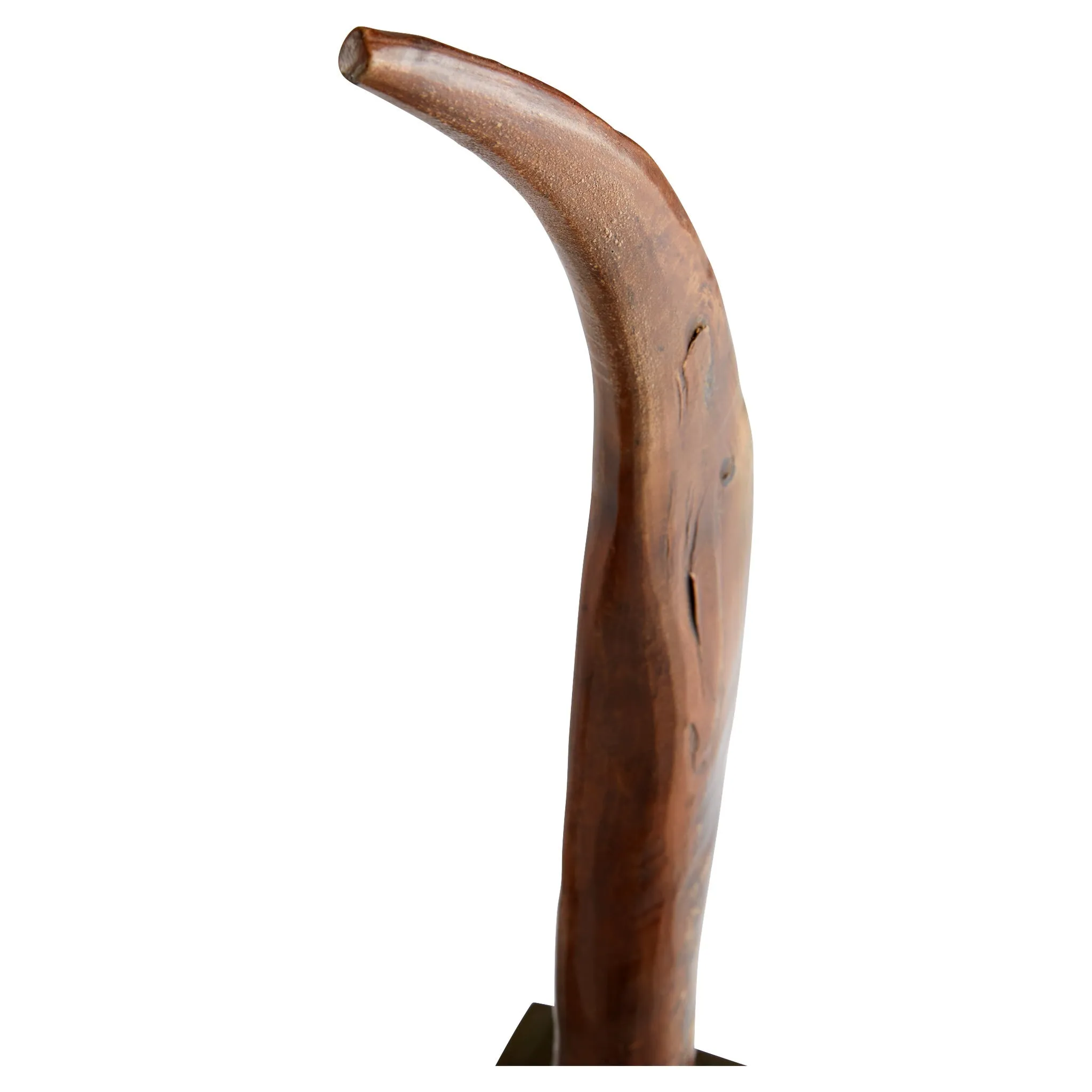 Eastern Claw Sculpture by Cyan