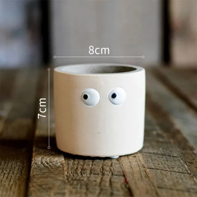 Eye catching flower Pot | Cute planter