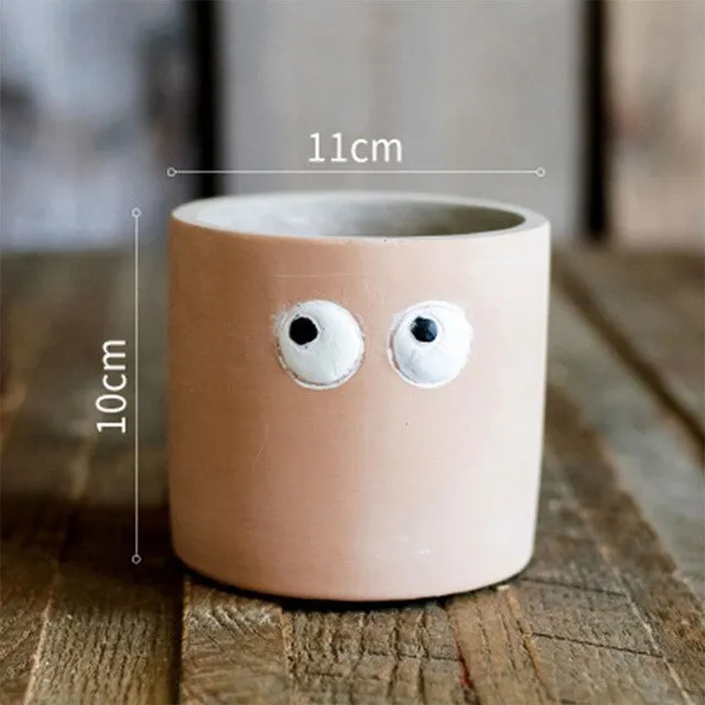 Eye catching flower Pot | Cute planter