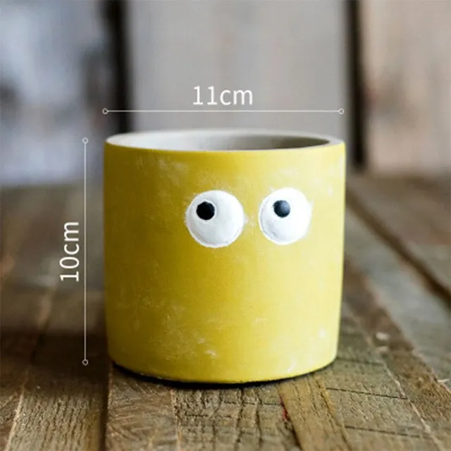 Eye catching flower Pot | Cute planter
