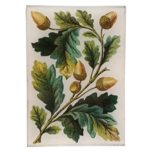 John Derian 'Acorn Bunch' 4.5 x 6.5" Tray