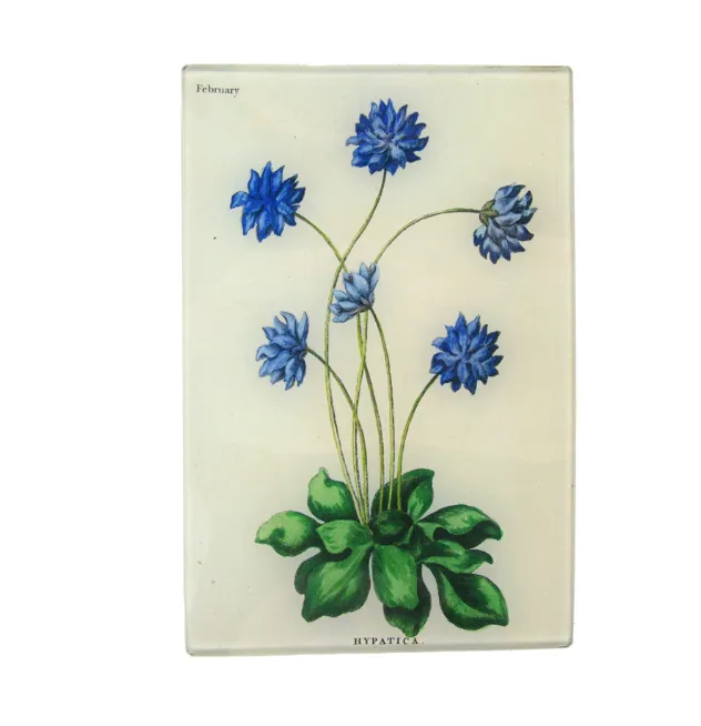 John Derian Tray, Small