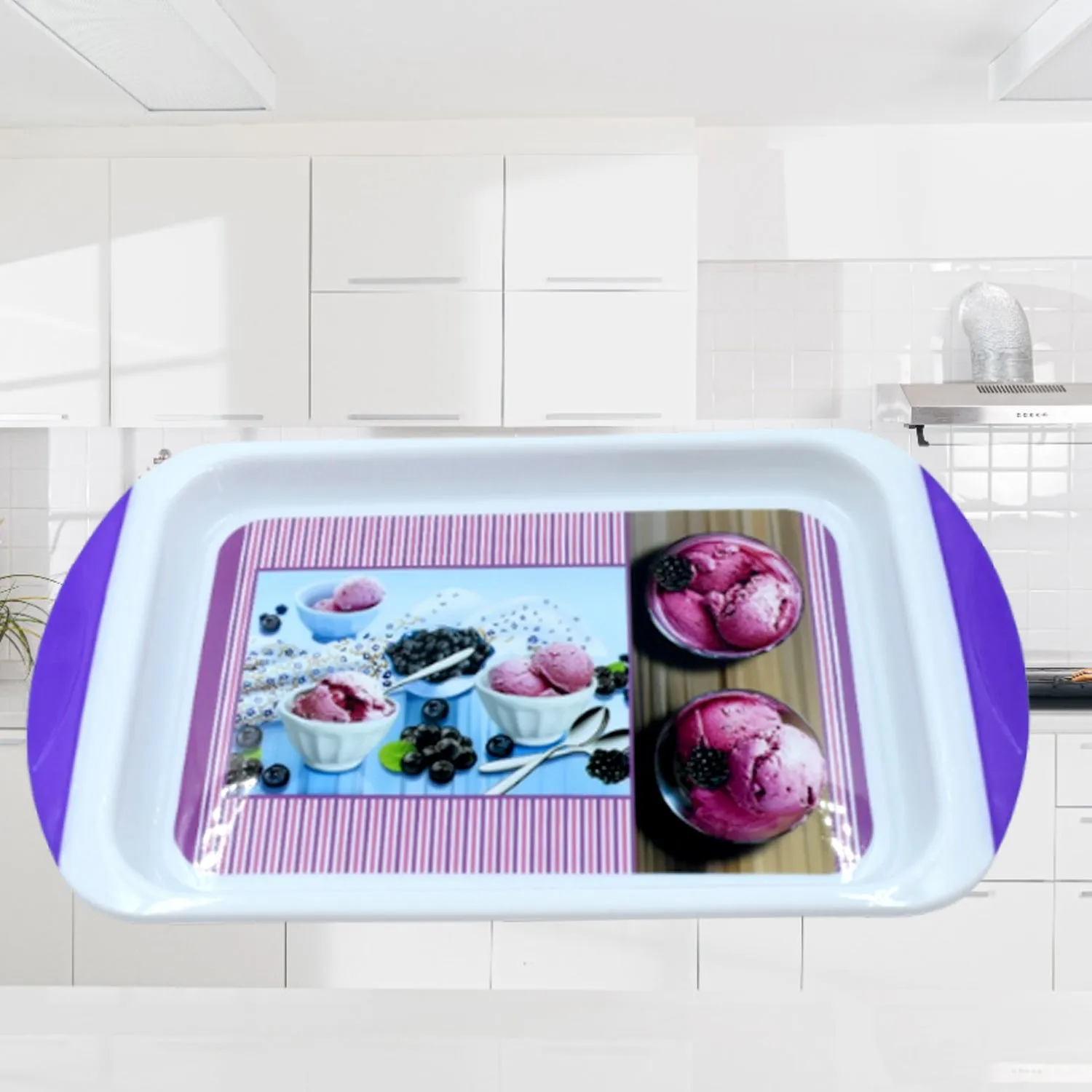 Medium Plastic Tray for Kitchen and General Purpose