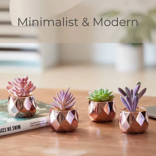 Nordik Set of 4 Desk Plants in Rose Gold  Pink Faux