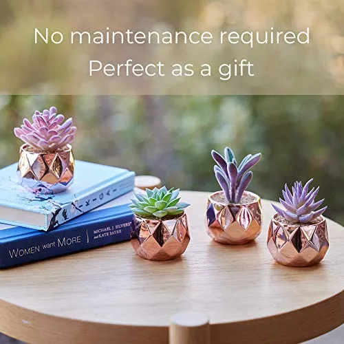 Nordik Set of 4 Desk Plants in Rose Gold  Pink Faux
