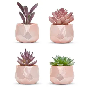 Nordik Set of 4 Desk Plants in Rose Gold  Pink Faux