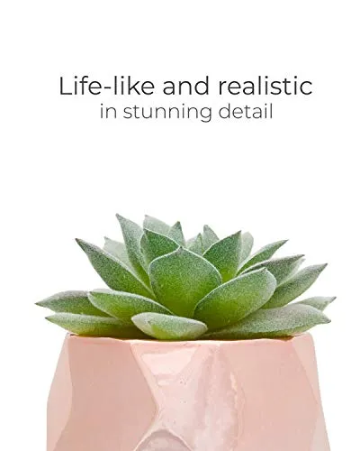 Nordik Set of 4 Desk Plants in Rose Gold  Pink Faux