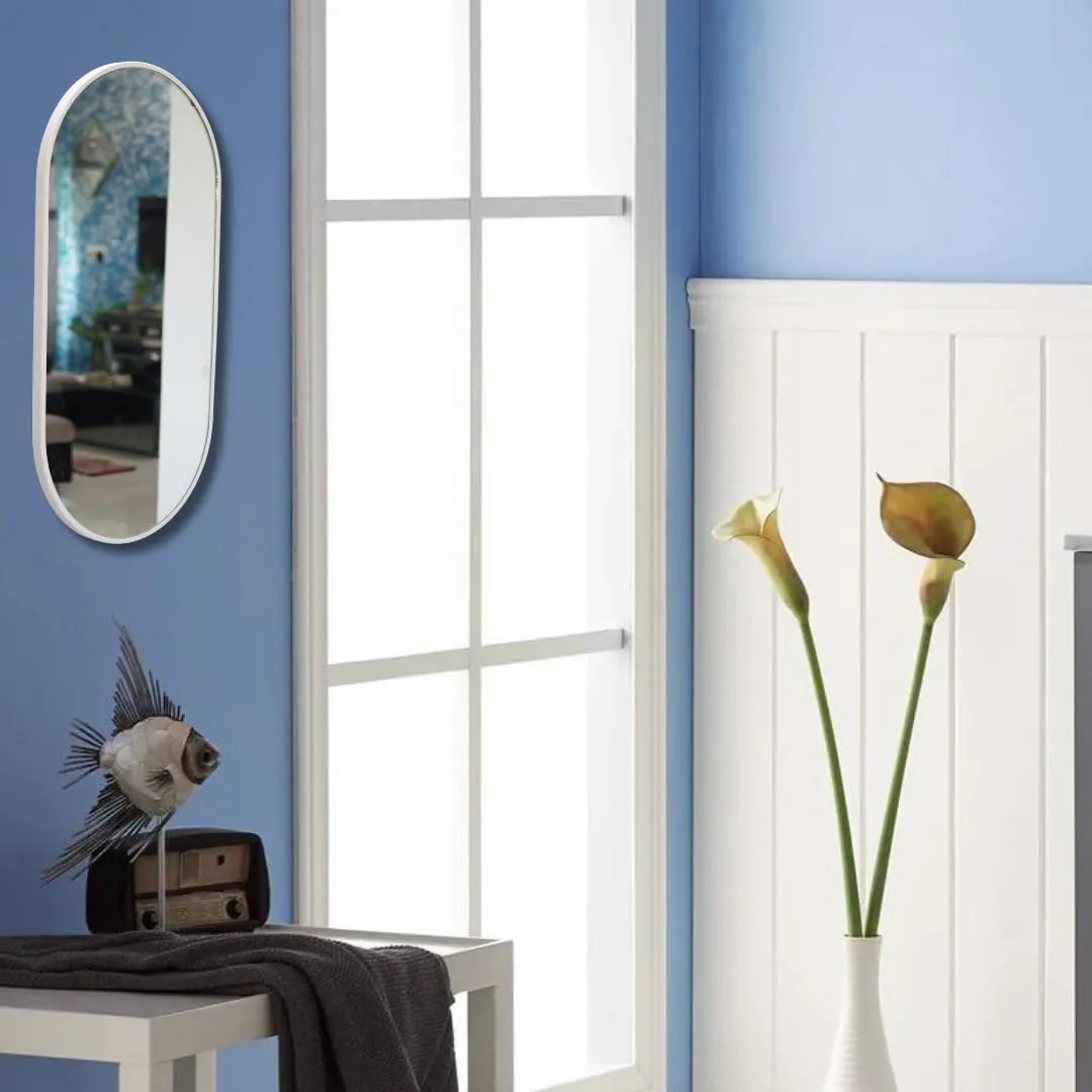 TINITALO Modern Elegance Capsule Shape Wall-Mounted Mirror Metal Framed Wall Mirror Bathroom Mirror Living Room Mirror Home Decor Mirror 24 x 48 Inches White MF 106